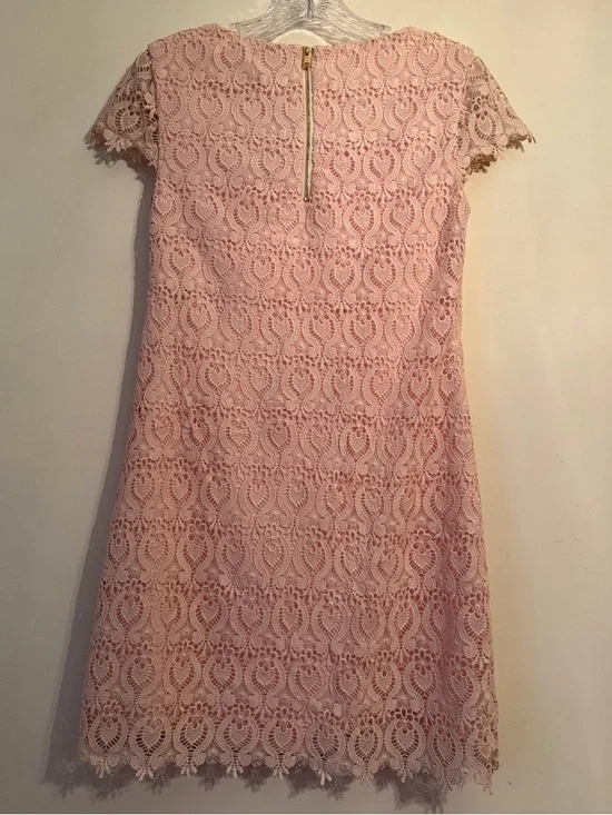 Elegant And Beautiful Cynthia Steffe Blush Pink Lace Shift Dress - Picture 3 of 3